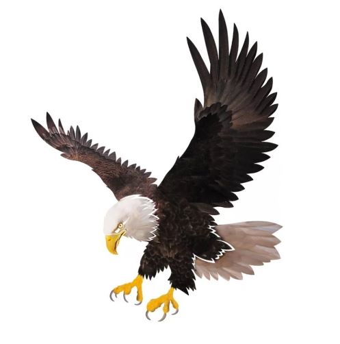 Eagle America Symbol Flying Eagle Wall Décor