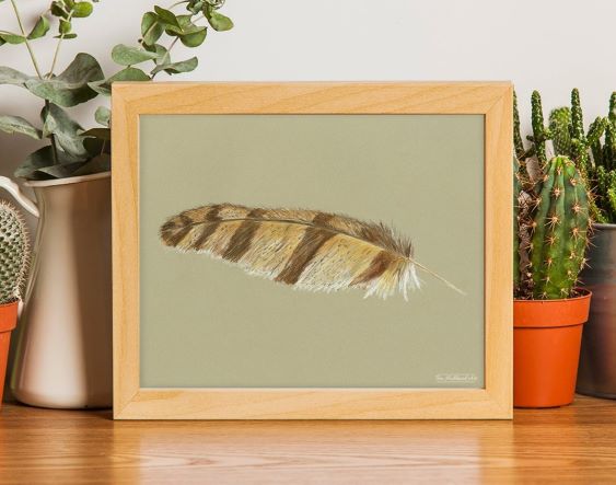 Native American interior design, Great Horned Owl Feather