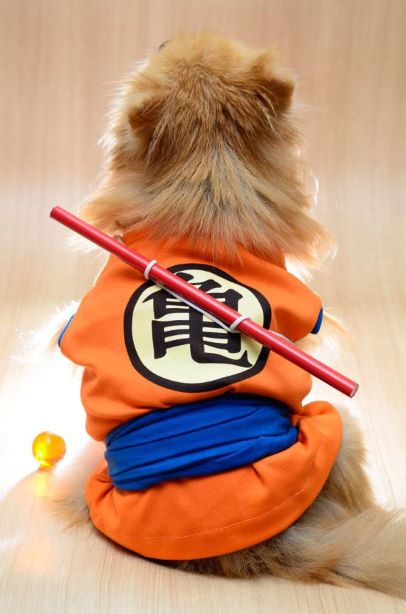 Present Pet Dragon Ball Z Goku Dog Costume