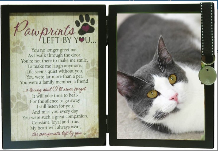 great cat stories Pawprints Left by You Cat Picture Frame