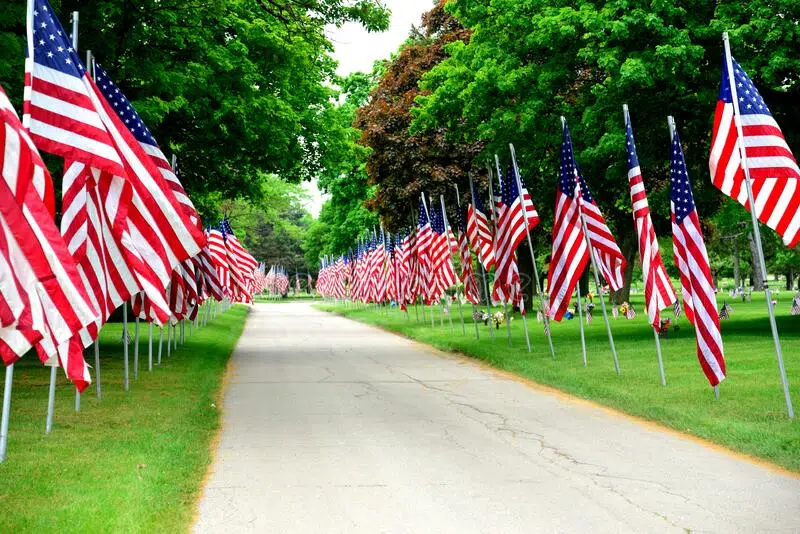 Within A Flag Row