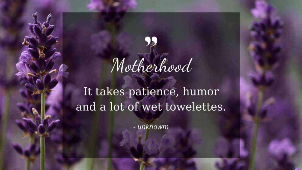 hilarious funny mom quotes