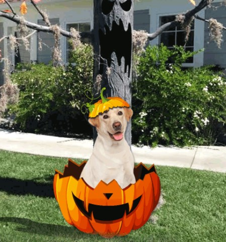Labrador Retriever metal Halloween yard signs