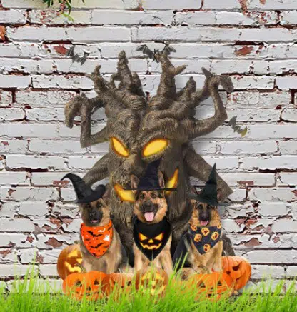 halloween spooky tree
