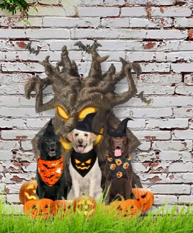 spooky tree Halloween decoration