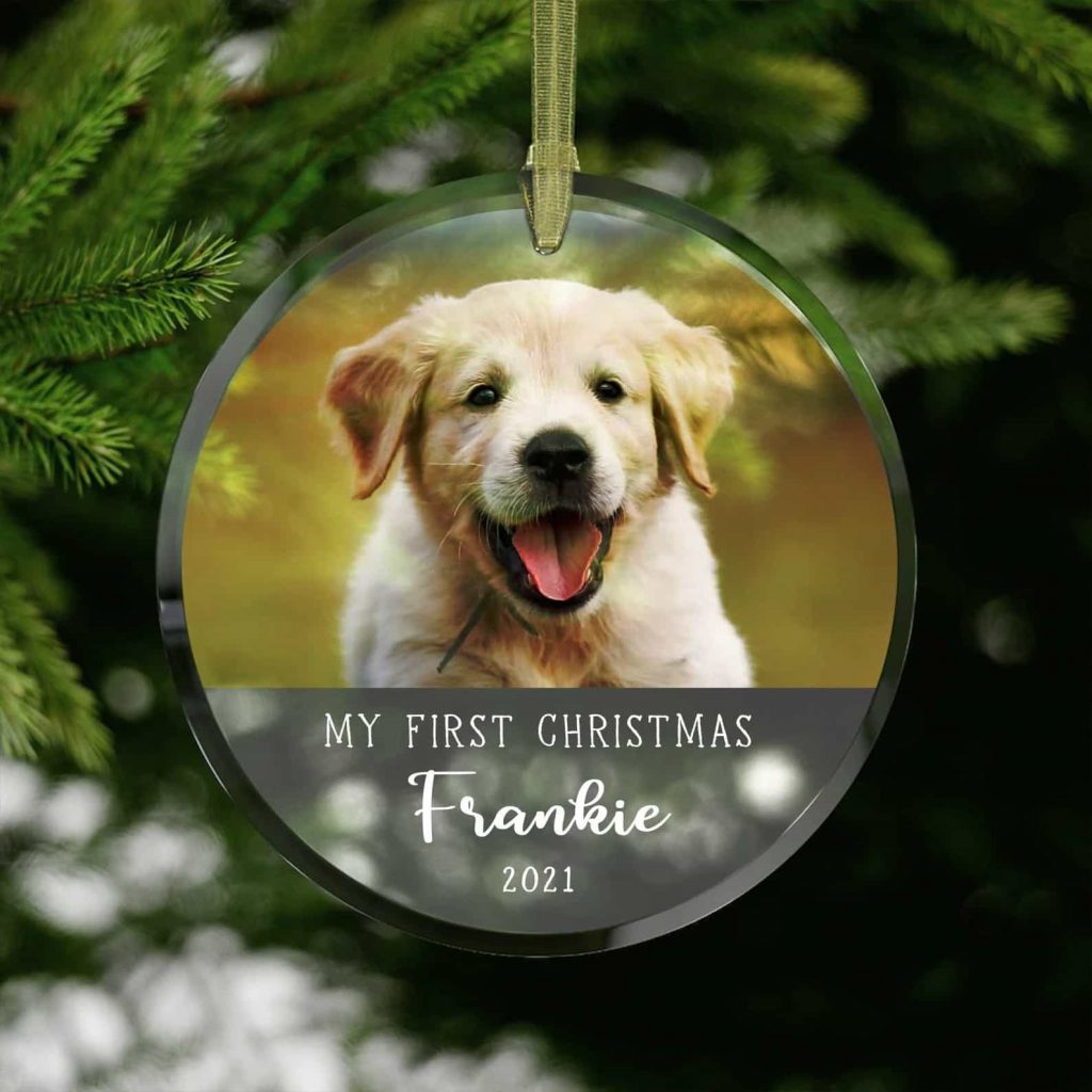 Puppy's First Christmas Ornament