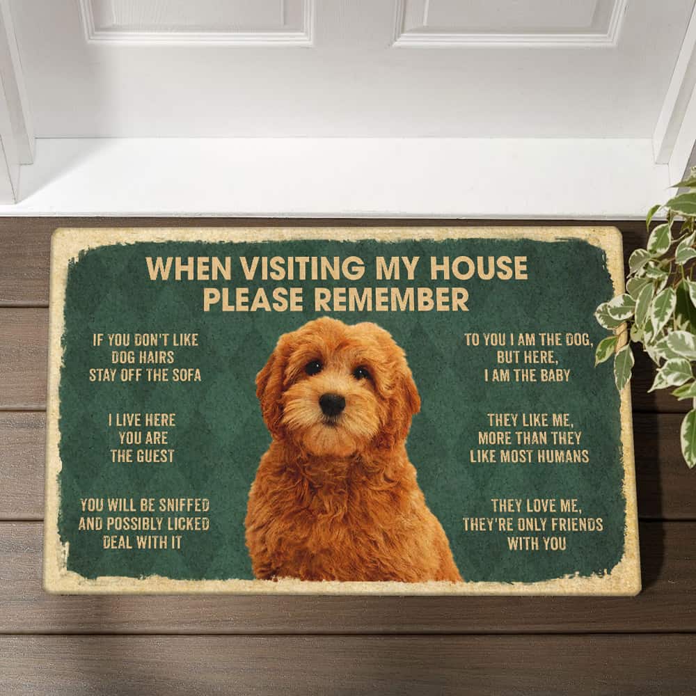 When Visiting My House Goldendoodle Doormat