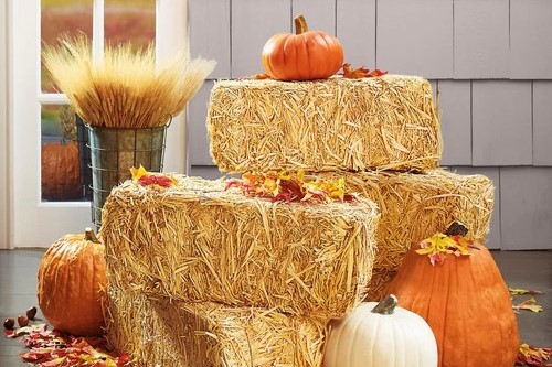 haystack and pumpkins