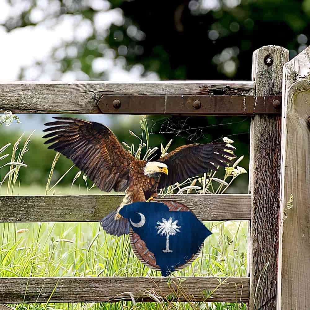 South Carolina Hanging Metal Sign Patriotic Eagle
