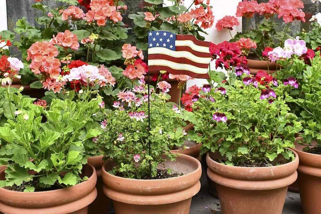 american flag as a planter stake