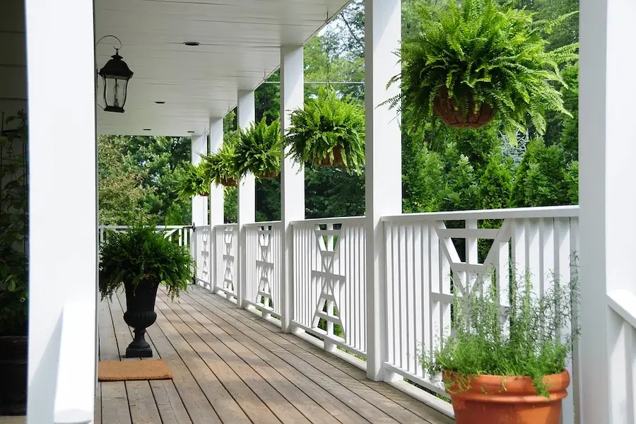 porch decorated witt plant