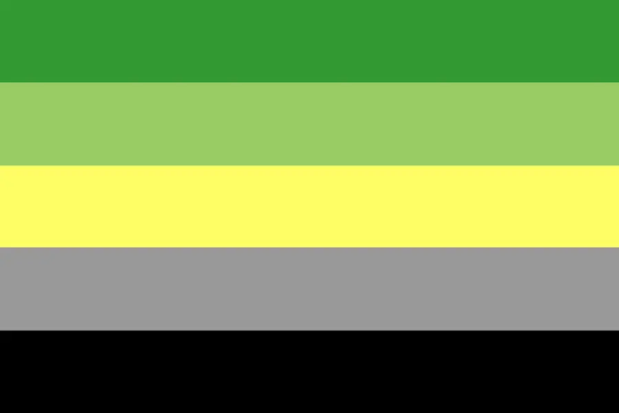 first aromantic flag version by cameron