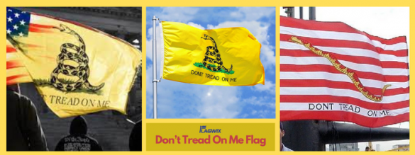 Don't Tread On Me Flag: Find Out The History And Meaning