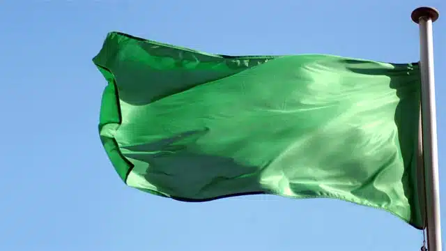 national flag of Libya green