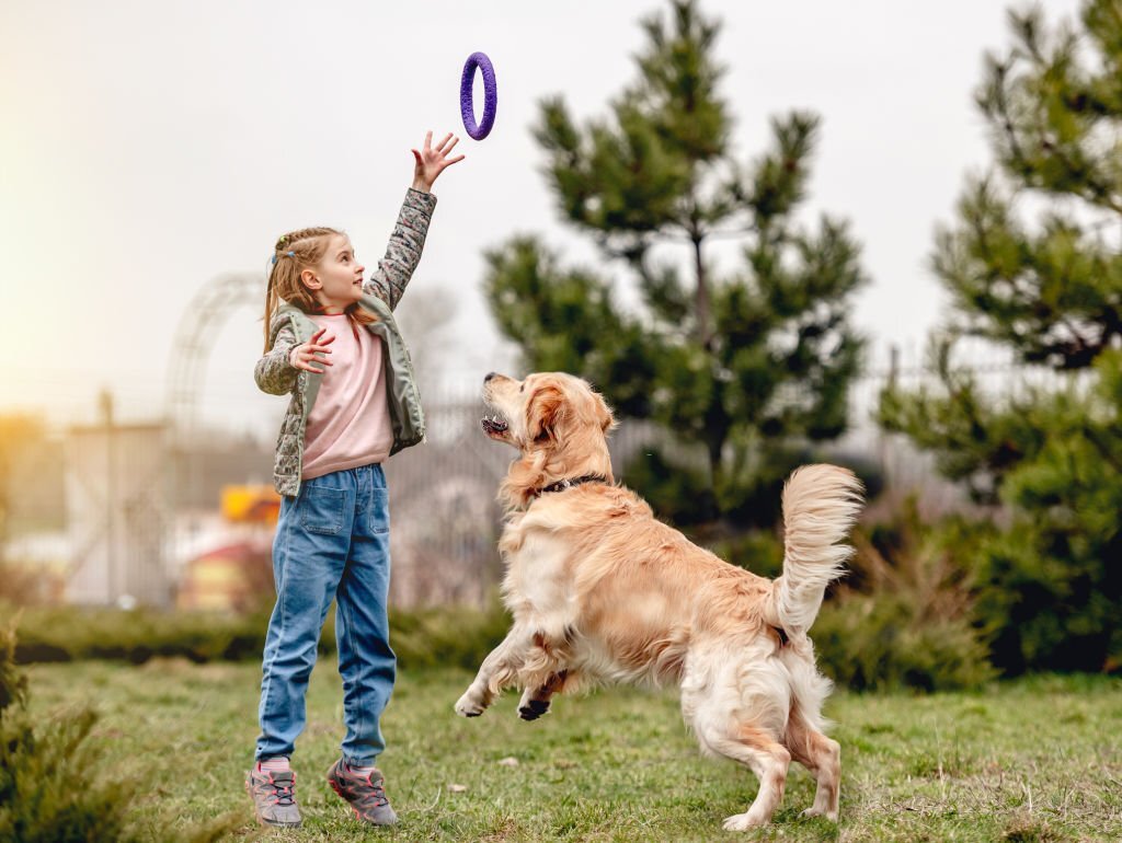 Golden with kids