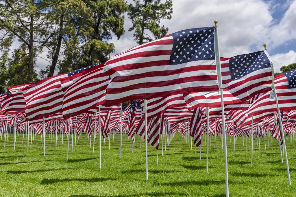 American flags on a green grass
