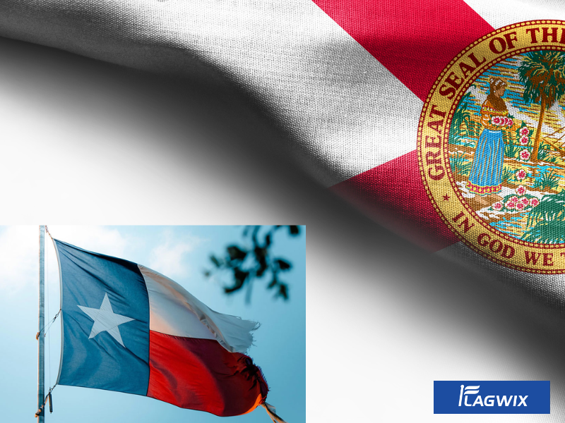 Florida The Lone Star Flag - 1861