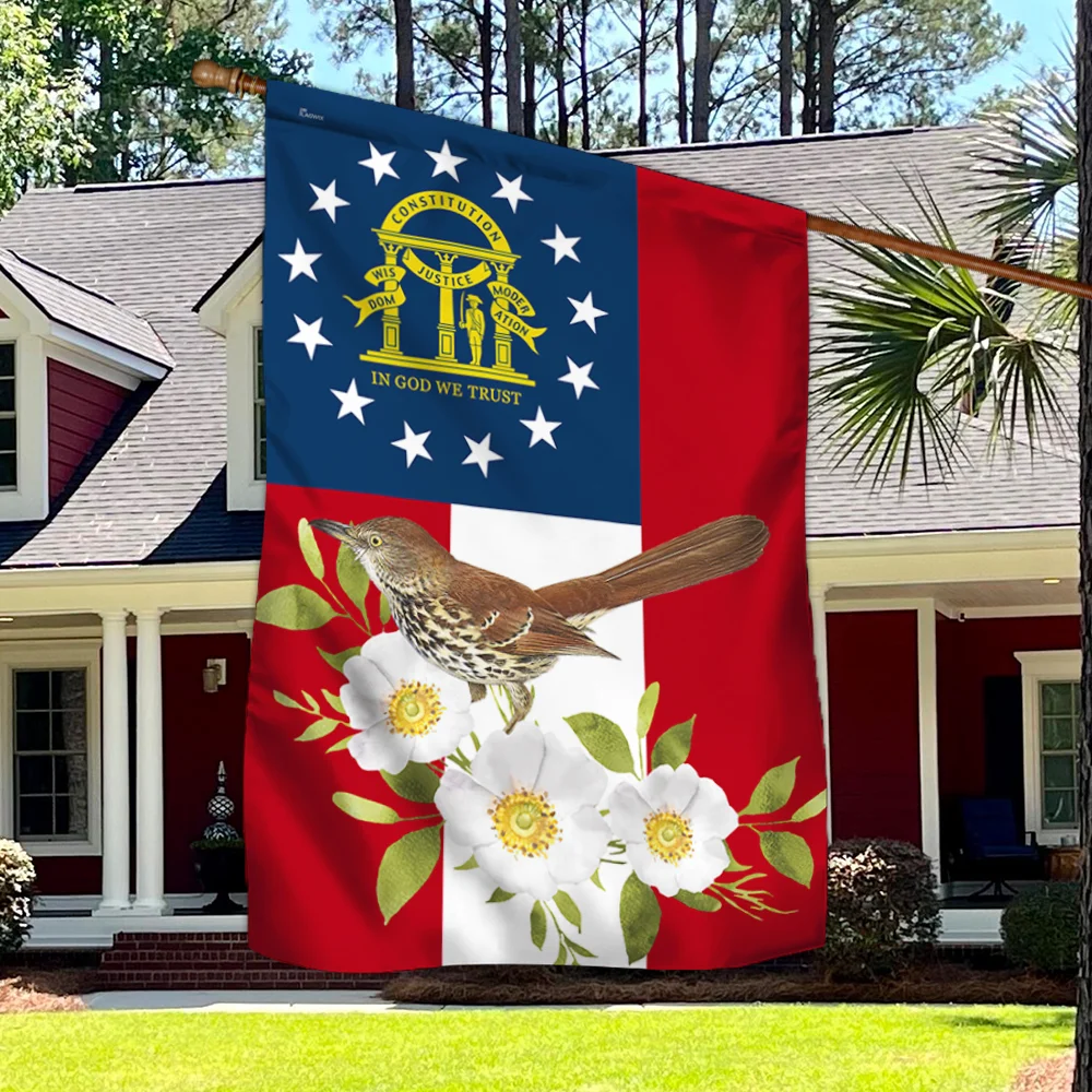 georgia state flag