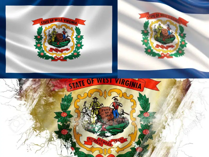 west virginia flag​