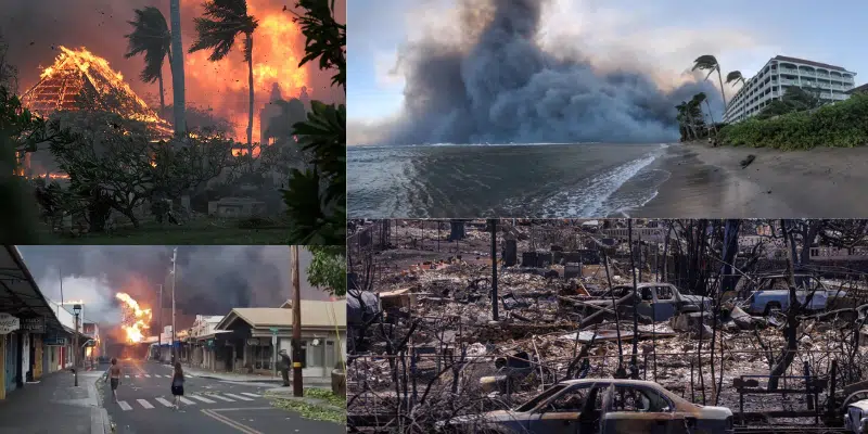 The cause of Lahaina's most serious destruction