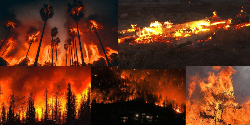 What Caused The Terrible Maui Wildfire In Hawaii?​