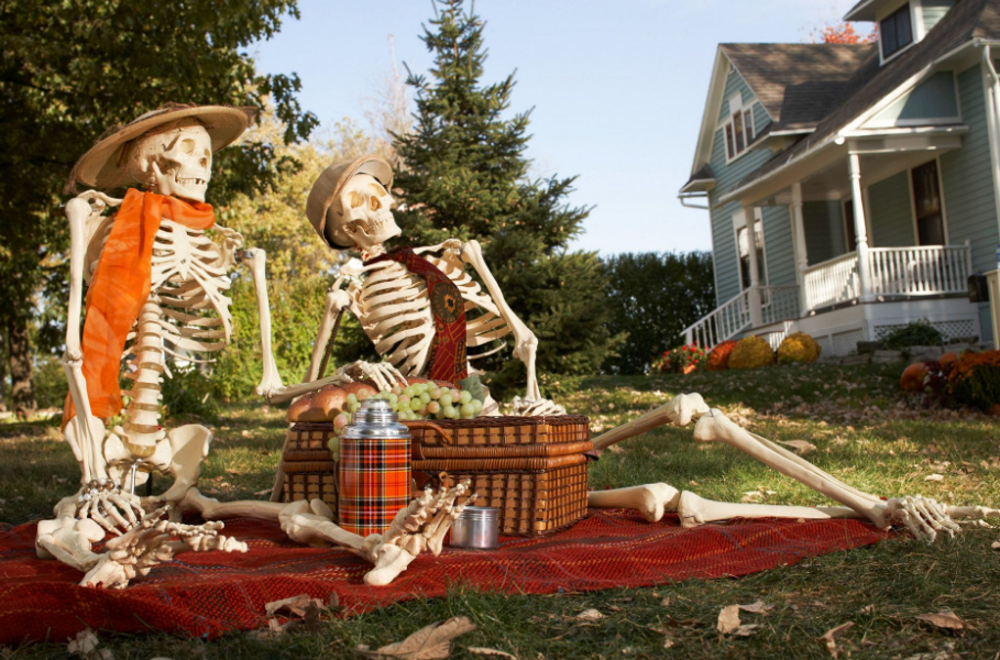 Skeleton Displays