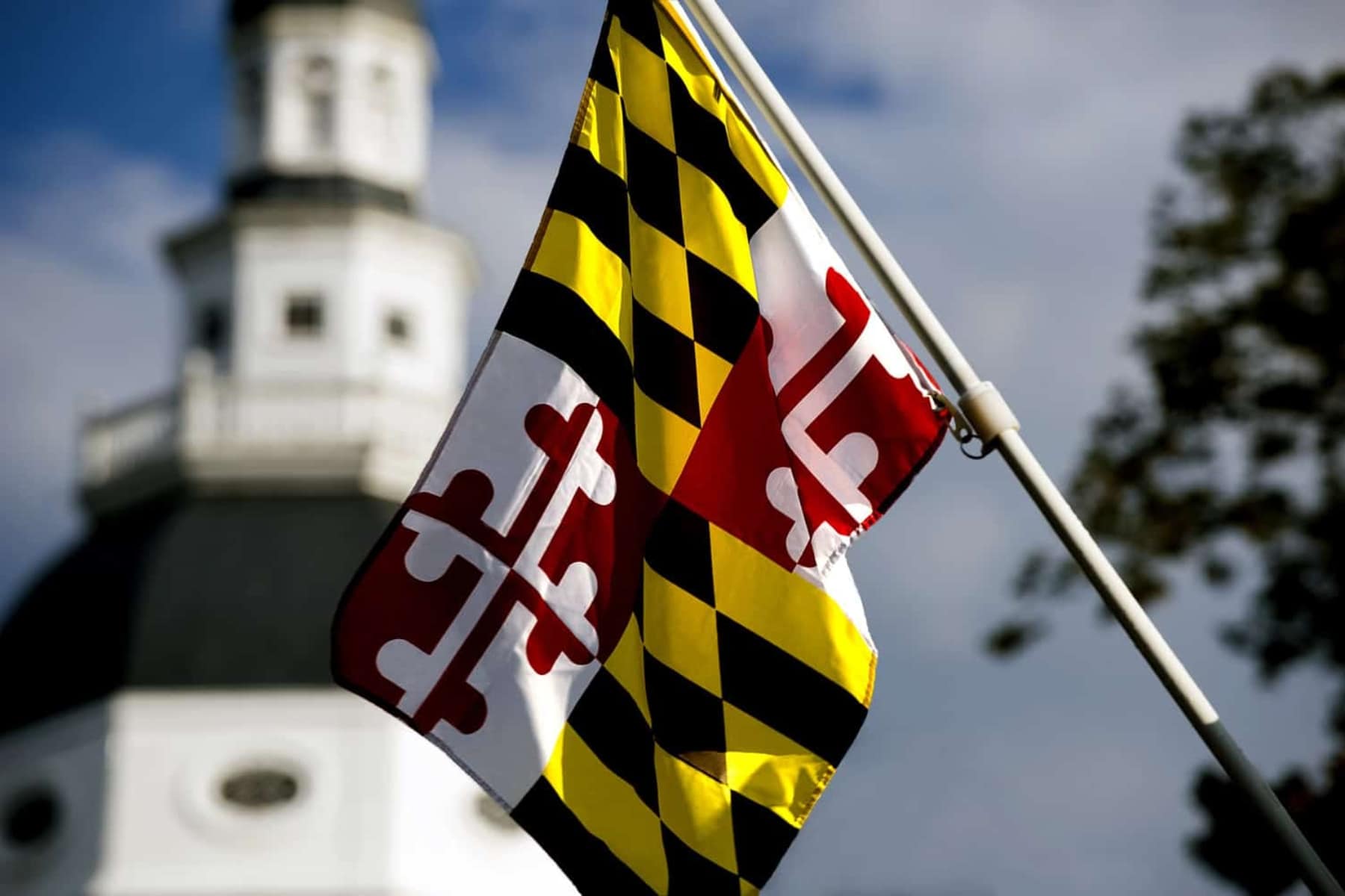 maryland flag meaning