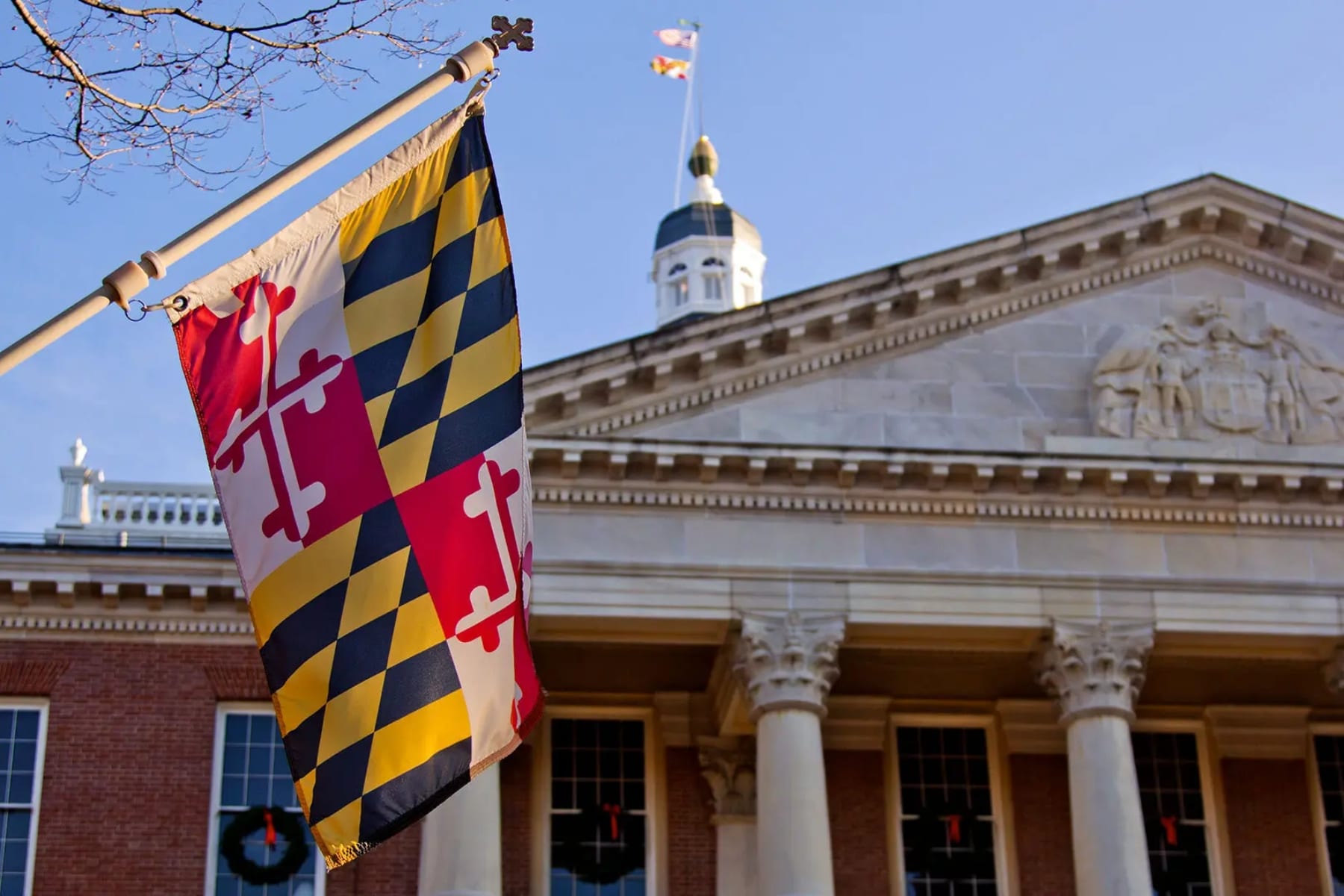 interesting facts about maryland state flag